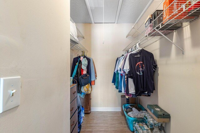 view of walk in closet