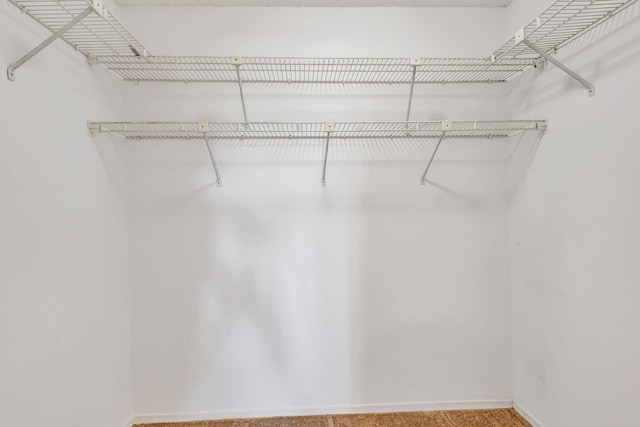 spacious closet with carpet flooring