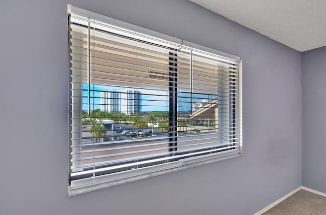 details featuring carpet flooring and baseboards