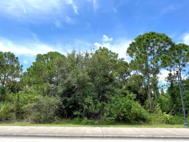 228 SW Becker Rd, Port Saint Lucie FL, 34953 land for sale