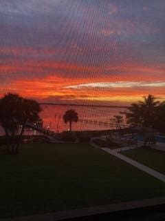 yard at dusk with a water view