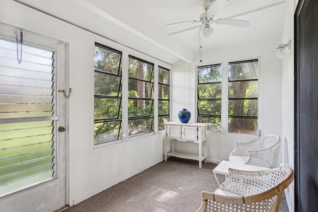 sunroom featuring ceiling fan and a healthy amount of sunlight