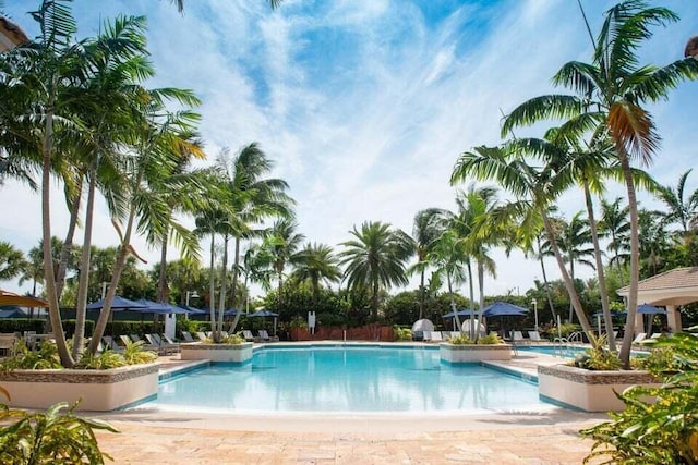 view of swimming pool with a patio area