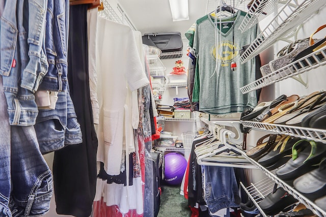 view of walk in closet