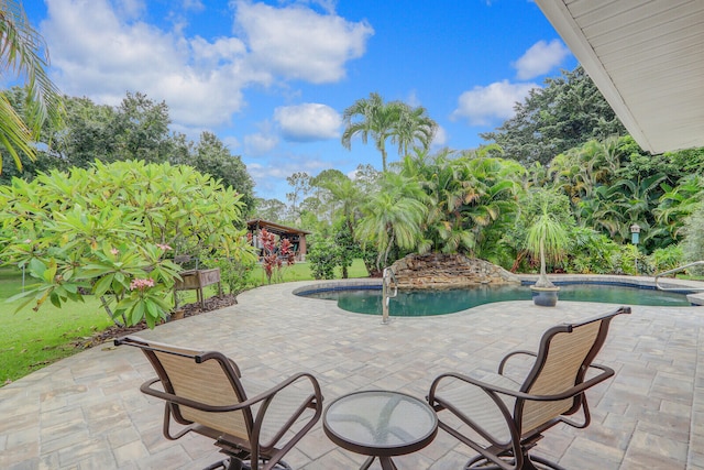 view of swimming pool featuring a patio