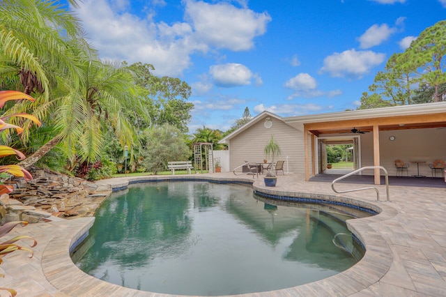 view of pool with a patio area