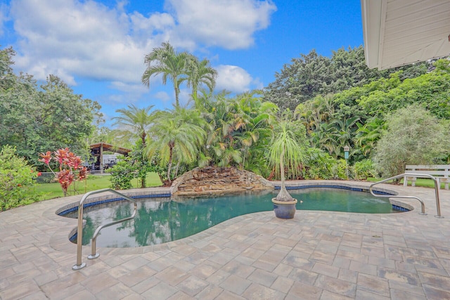 view of swimming pool featuring a patio