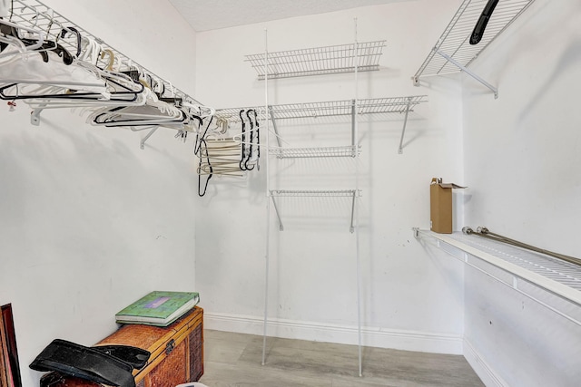 spacious closet featuring light hardwood / wood-style floors