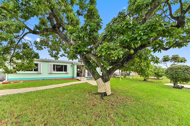 single story home with a front yard