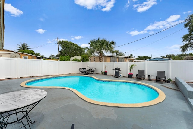 view of pool featuring a patio area