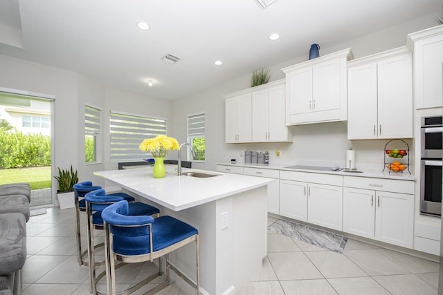 kitchen with sink, a center island with sink, and white cabinets