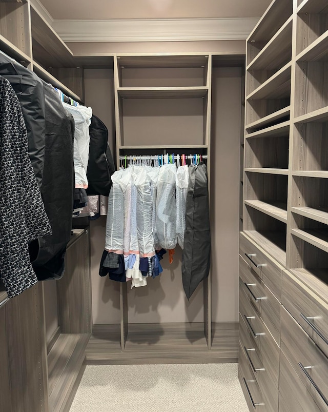 walk in closet with light colored carpet