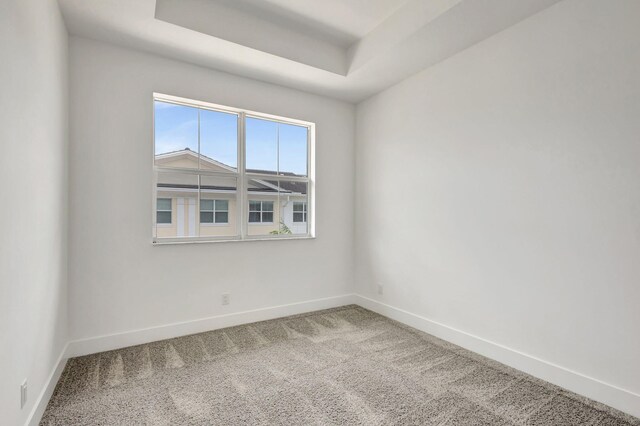 carpeted spare room with a raised ceiling