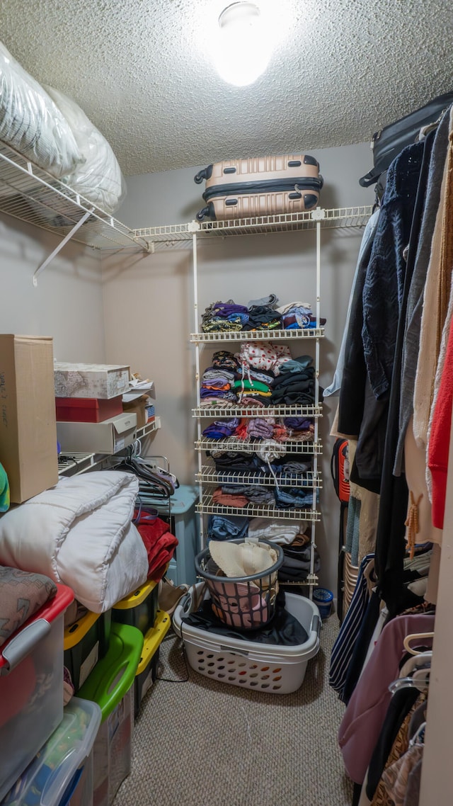 walk in closet featuring carpet