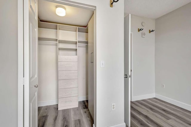 walk in closet featuring wood-type flooring