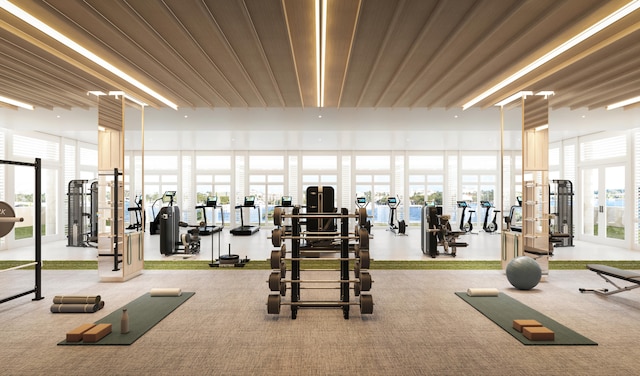 gym featuring a wealth of natural light