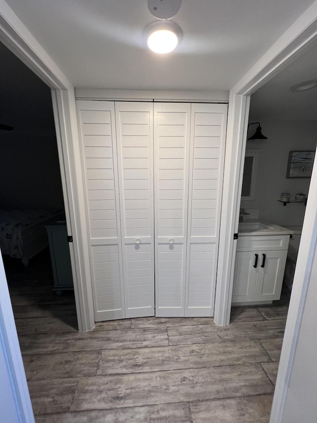 interior space with a sink and wood finished floors