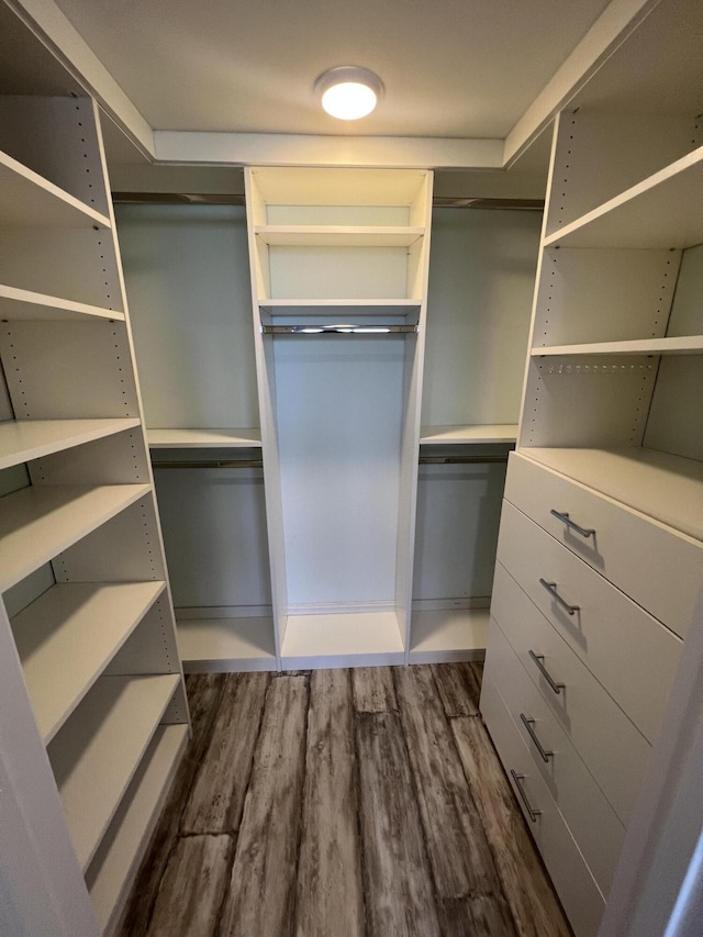 walk in closet with dark wood finished floors