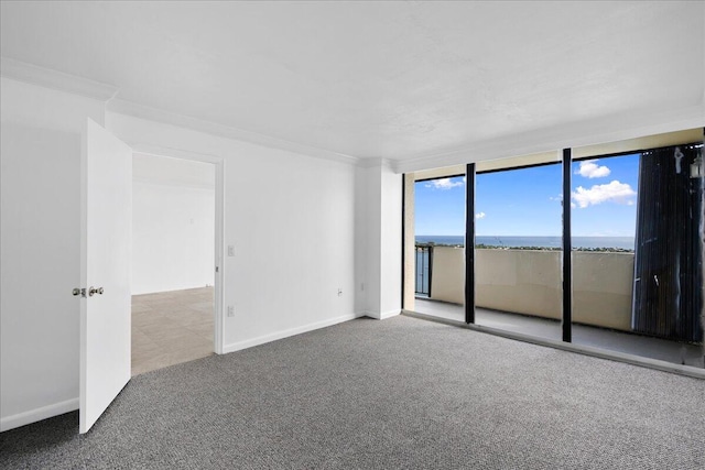 empty room with expansive windows, ornamental molding, and light colored carpet