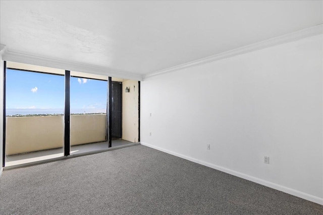 unfurnished room with carpet floors and crown molding