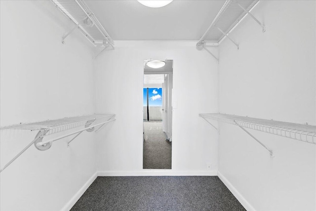 spacious closet with carpet flooring