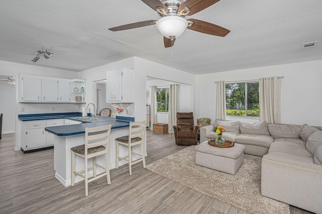 living room with a textured ceiling, ceiling fan, light wood-type flooring, and sink