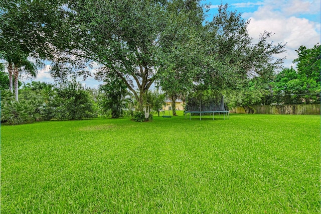 view of yard with a trampoline