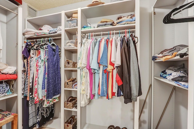 view of spacious closet