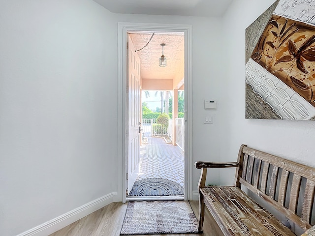 entryway featuring hardwood / wood-style flooring