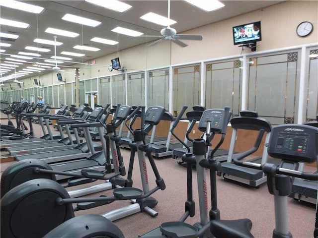 workout area featuring ceiling fan and carpet floors