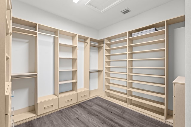 walk in closet featuring dark wood-type flooring