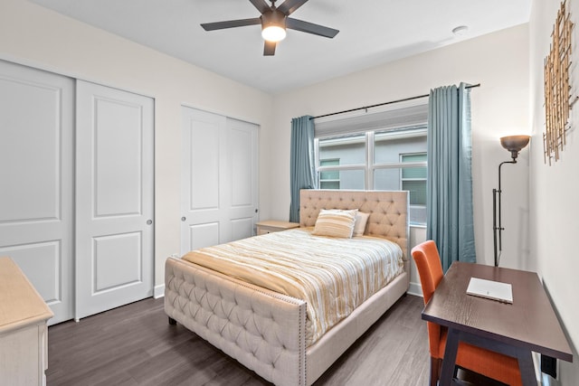 bedroom featuring ceiling fan, multiple closets, and dark hardwood / wood-style flooring