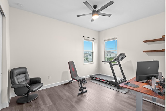 exercise area featuring ceiling fan and dark hardwood / wood-style flooring