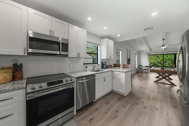 kitchen with a healthy amount of sunlight, stainless steel appliances, sink, and light hardwood / wood-style floors