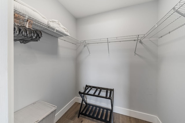 walk in closet with wood-type flooring