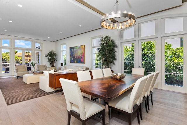 dining room with a chandelier, plenty of natural light, and light hardwood / wood-style floors