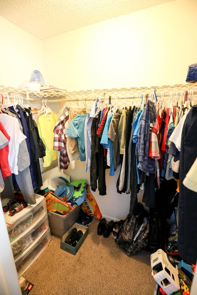 spacious closet with carpet