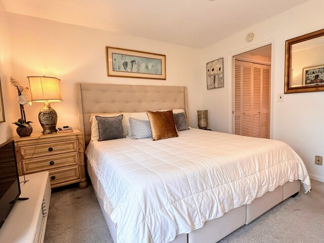 bedroom featuring carpet flooring and a closet