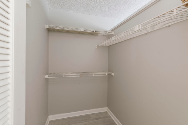 spacious closet with hardwood / wood-style floors