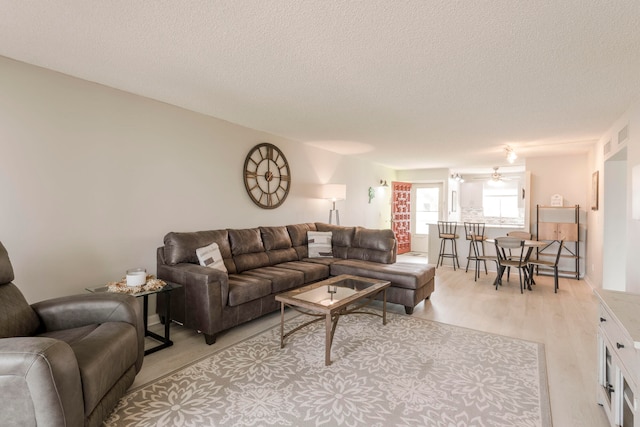 living room featuring a textured ceiling and light hardwood / wood-style flooring