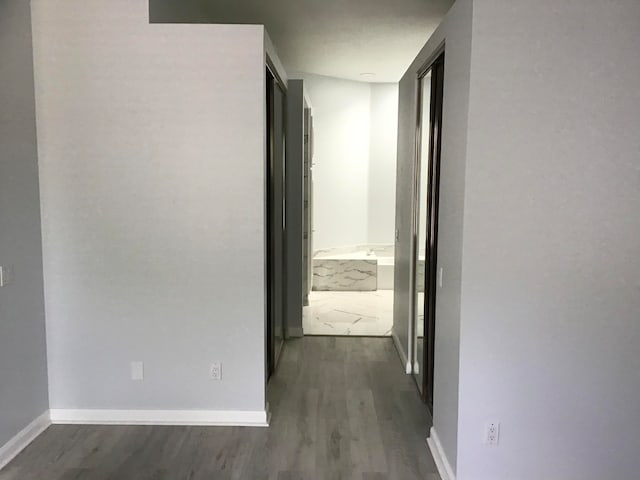 hall featuring dark wood-type flooring