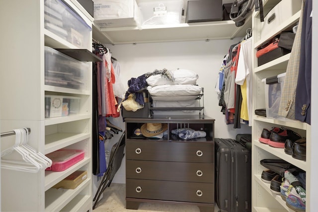 view of spacious closet