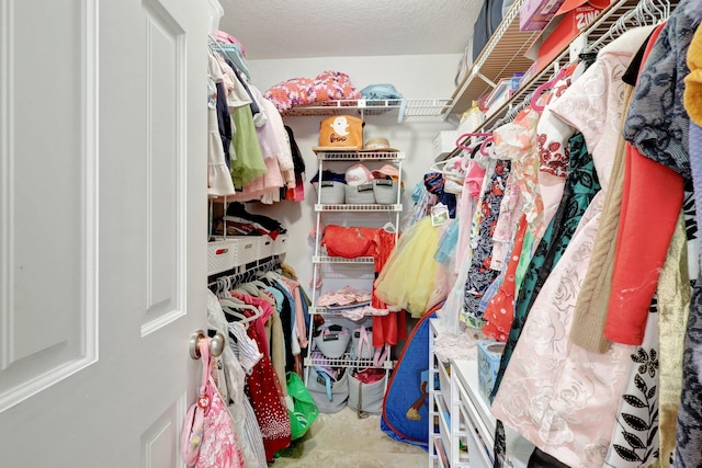 view of walk in closet