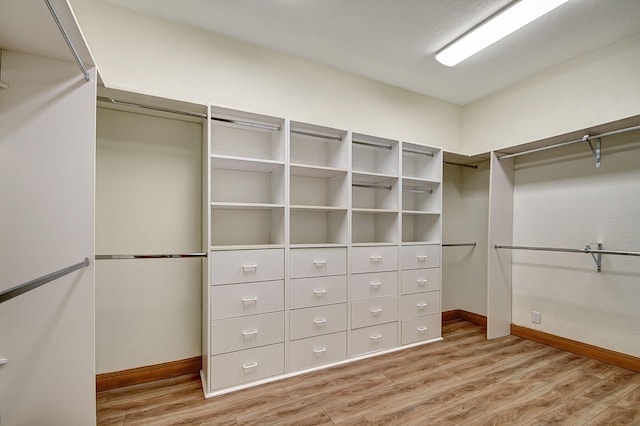 walk in closet with light wood-type flooring