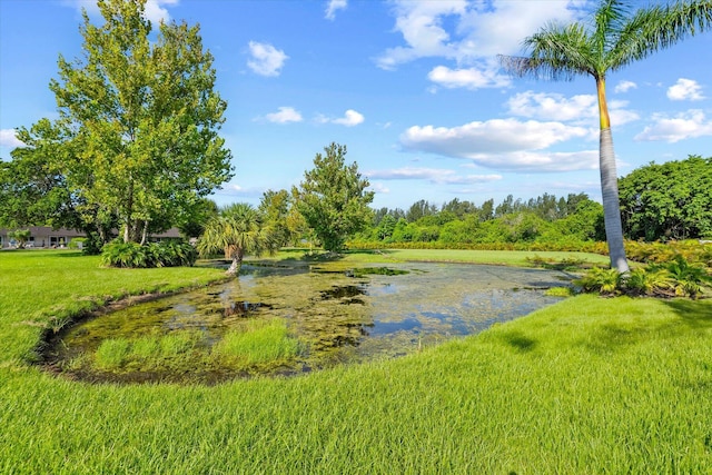 water view