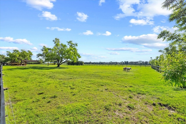 view of yard featuring a rural view