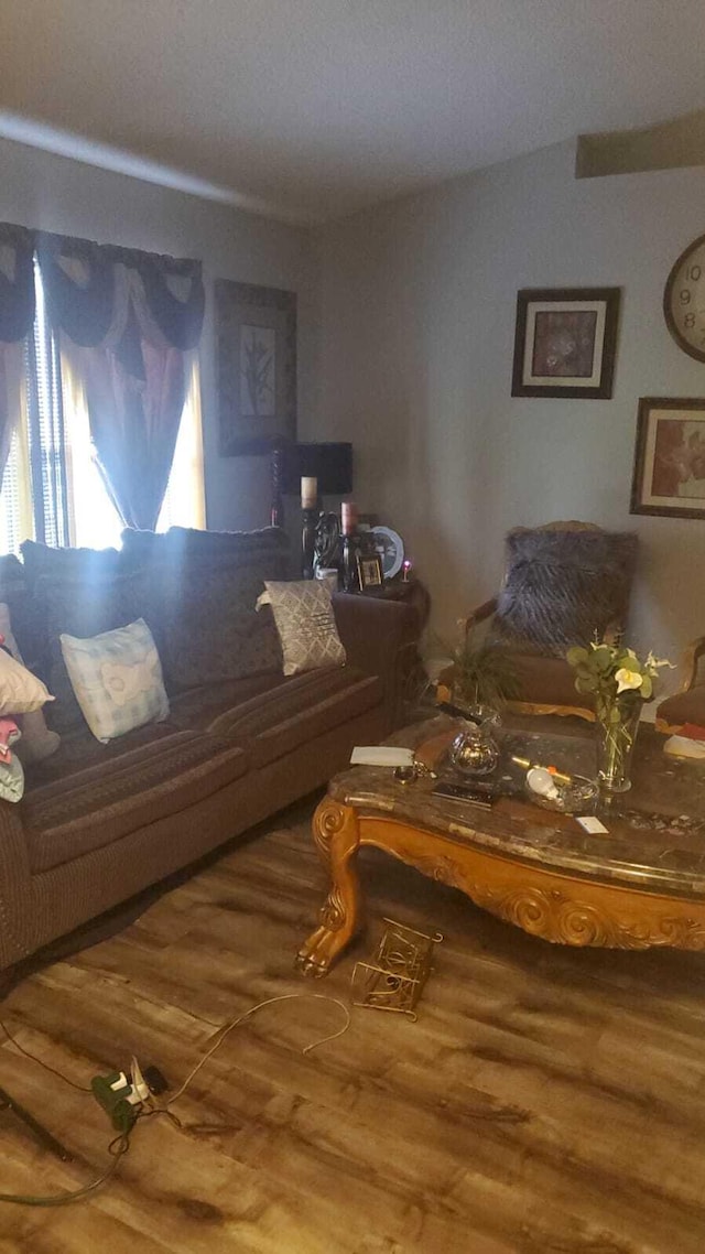 living room with wood-type flooring