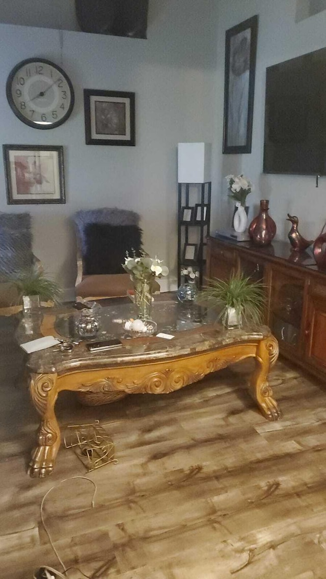 living room with wood-type flooring