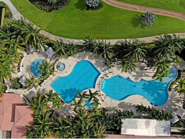 view of swimming pool featuring a lawn