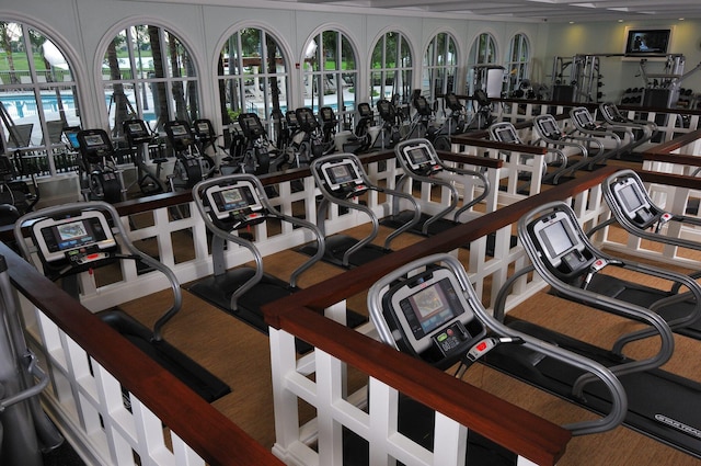 workout area with carpet flooring